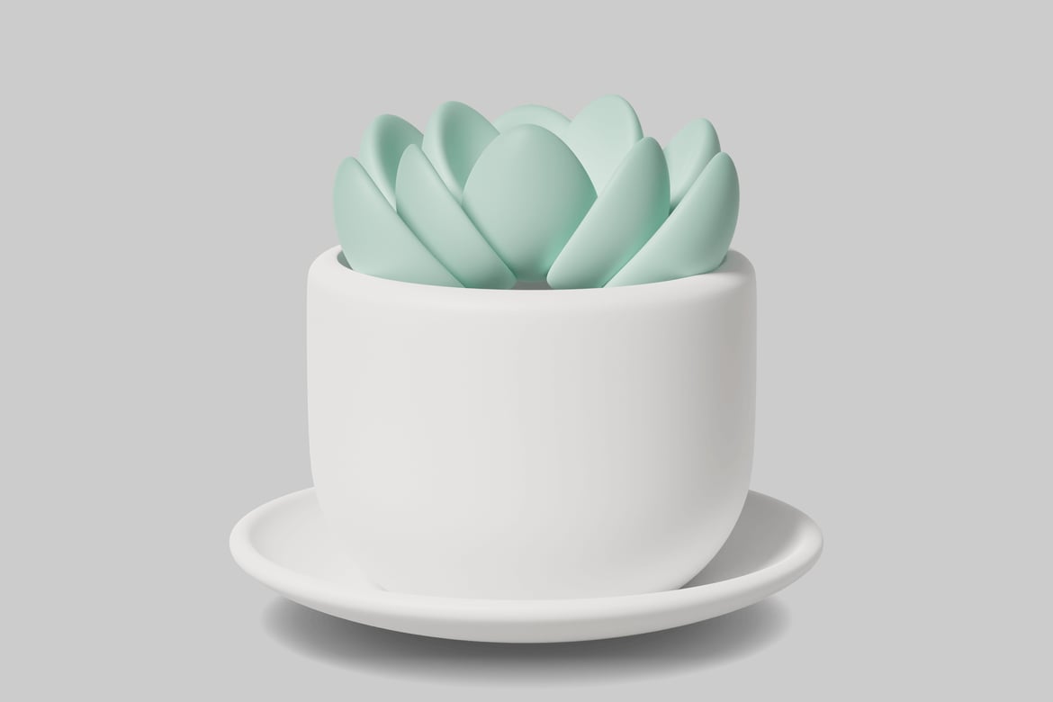 Download Succulent plant in a white pot with a saucer 3D Model