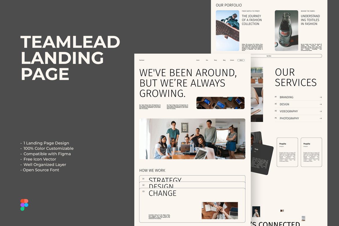 Download Teamlead - Landing Page Template Figma Design