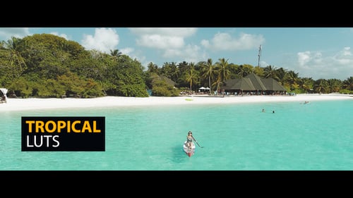 Download Tropical Color LUTs Final Cut Pro Template