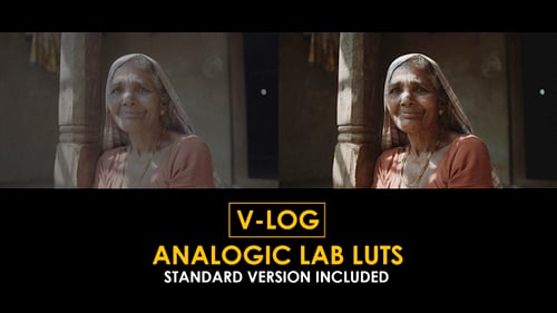 Download V-Log Analogic Lab and Standard Color LUTs Apple Motion Template