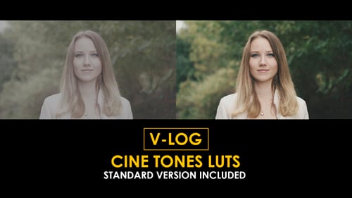 Download V-Log Cine Tones and Standard Color LUTs Apple Motion Template