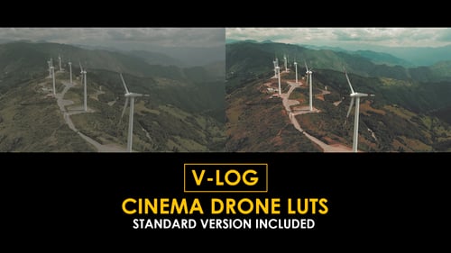 Download V-Log Cinema Drone and Standard Color LUTs Apple Motion Template