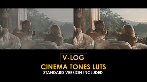 Download V-Log Cinema Tones and Standard LUTs Apple Motion Template