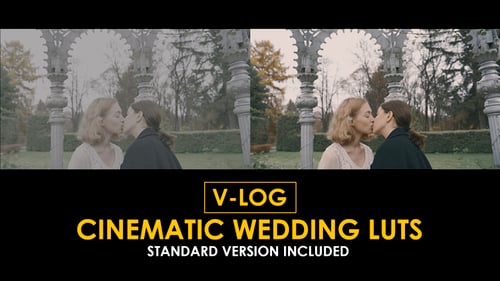 Download V-Log Cinema Wedding and Standard Color LUTs Apple Motion Template