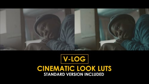 Download V-Log Cinematic Look and Standard Color LUTs Apple Motion Template