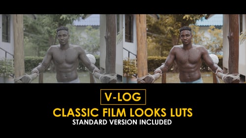 Download V-Log Classic Film Looks and Standard Color LUTs Apple Motion Template