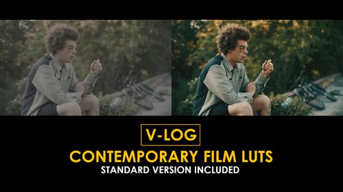 Download V-Log Contemporary Film and Standard Color LUTs Apple Motion Template