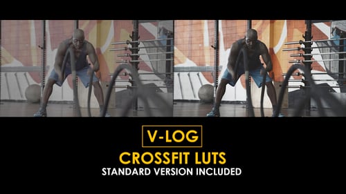 Download V-Log Crossfit and Standard Color LUTs Apple Motion Template