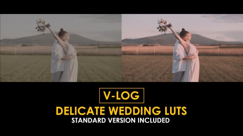 Download V-Log Delicate Wedding and Standard Color LUTs Apple Motion Template