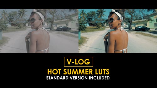 Download V-Log Hot Summer and Standard Color LUTs Apple Motion Template