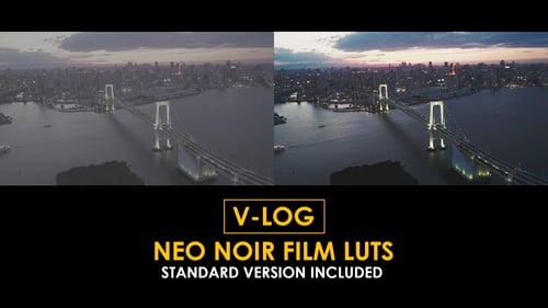 Download V-Log Neo Noir Film and Standard Color LUTs Apple Motion Template