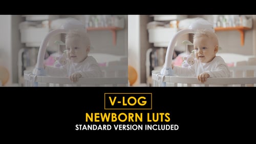 Download V-Log Newborn and Standard Color LUTs Apple Motion Template