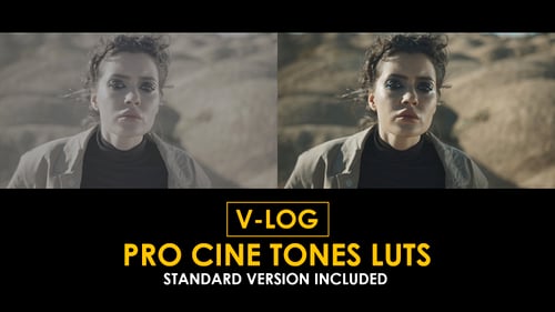 Download V-Log Pro Cine Tones and Standard Color LUTs Apple Motion Template