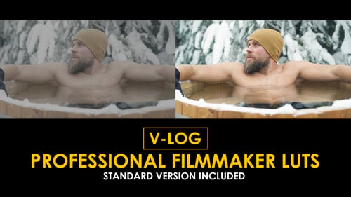 Download V-Log Professional Filmmaker and Standard LUTs Apple Motion Template