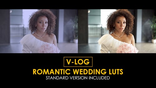 Download V-Log Romantic Wedding and Standard Color LUTs Apple Motion Template