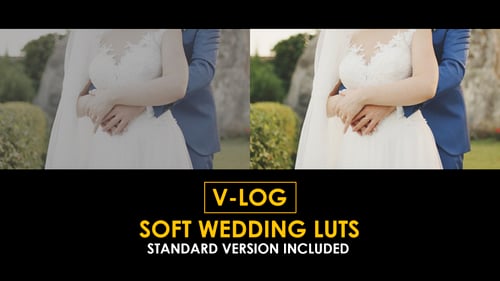 Download V-Log Soft Wedding and Standard Color LUTs Apple Motion Template