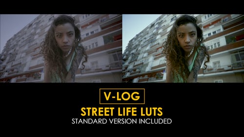 Download V-Log Street Life and Standard Color LUTs Apple Motion Template