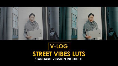 Download V-Log Street Vibes and Standard Color LUTs Apple Motion Template