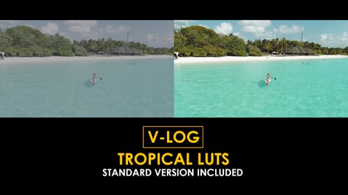 Download V-Log Tropical and Standard Color LUTs Apple Motion Template