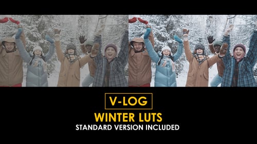 Download V-Log Winter and Standard Color LUTs Apple Motion Template