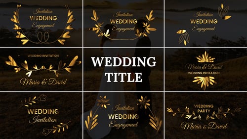 Download Wedding Title After Effect Template