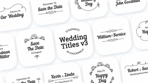 Download Wedding Titles v3 After Effect Template