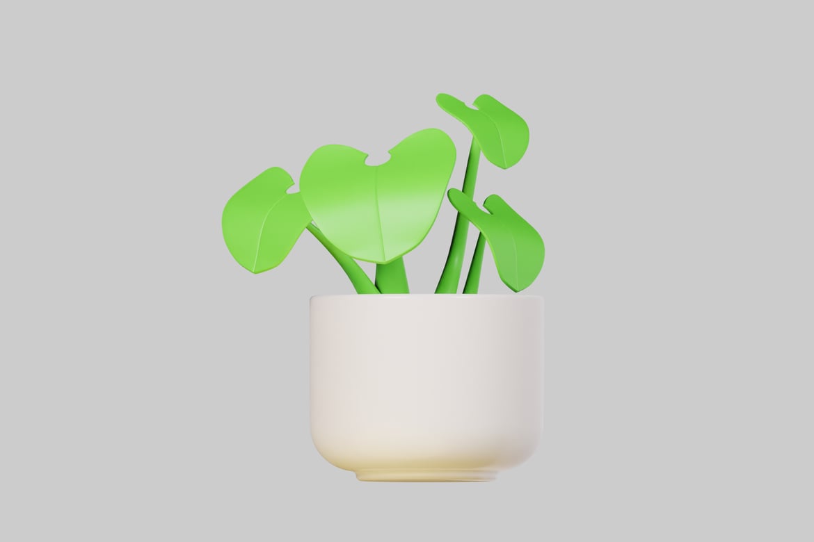 Download White Pot with Green Leaves 3D Model