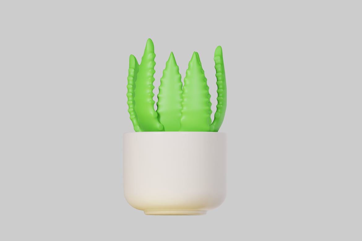 Download White pot with green plant 3D Model