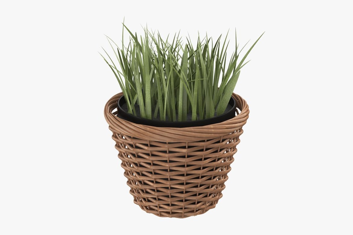 Download Wicker Basket with Potted Plant 3D Model