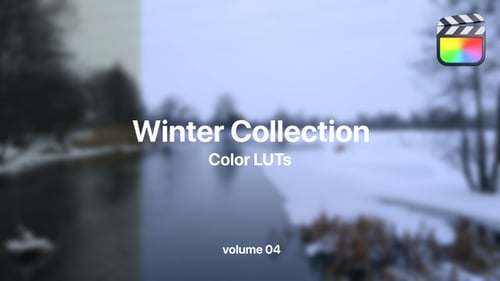 Download Winter LUTs Collection Vol. 04 Final Cut Pro Template