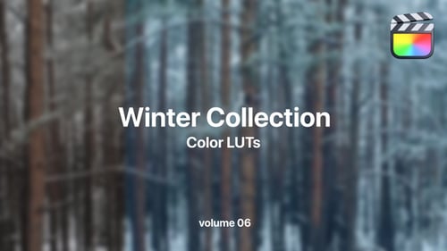 Download Winter LUTs Collection Vol. 06 Final Cut Pro Template