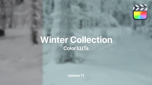 Download Winter LUTs Collection Vol. 11 Final Cut Pro Template