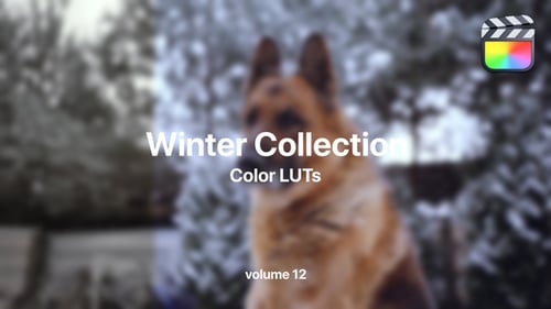 Download Winter LUTs Collection Vol. 12 Final Cut Pro Template