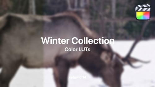 Download Winter LUTs Collection Vol. 14 Final Cut Pro Template